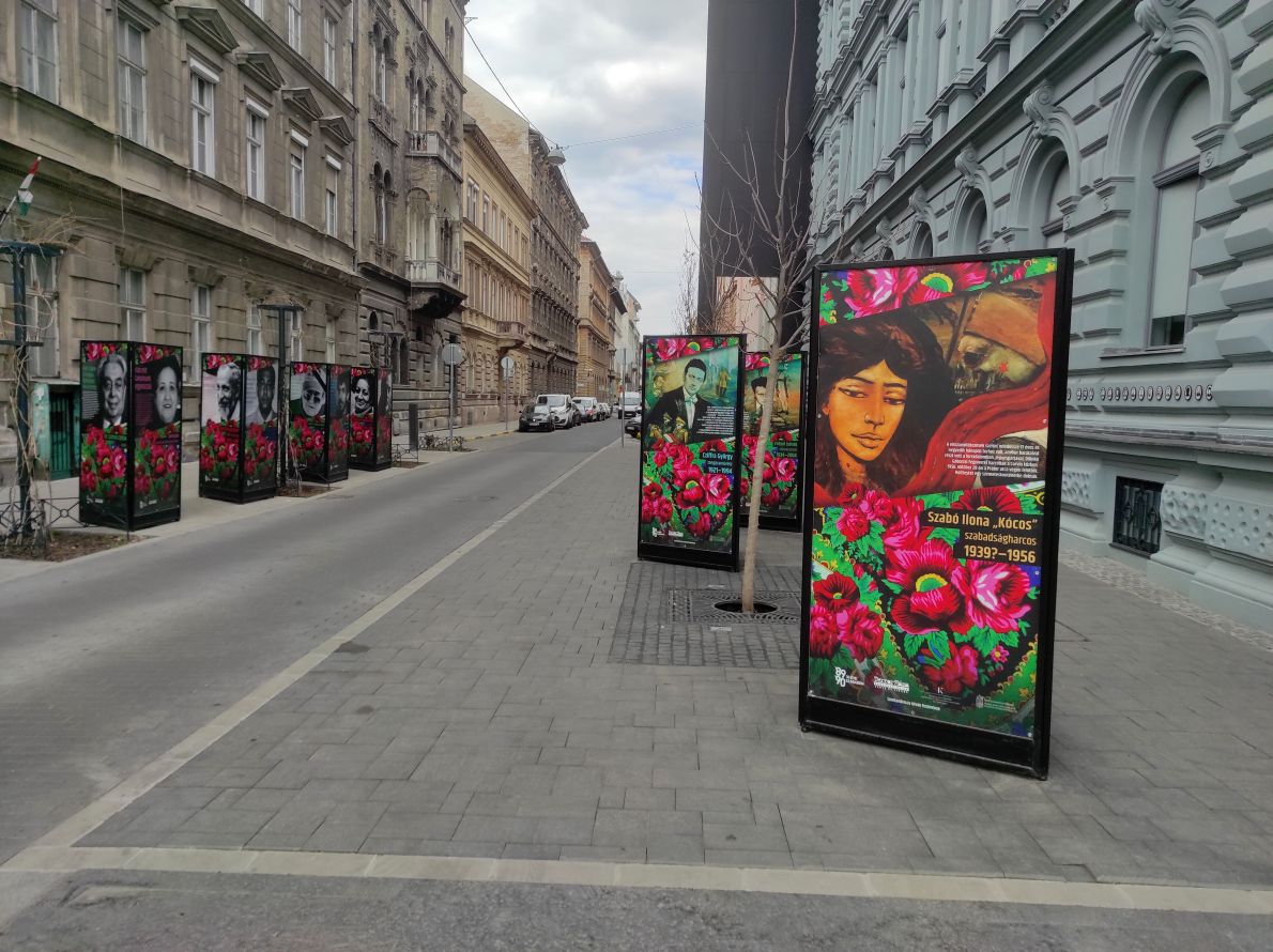 IMG 20260320 133137 h